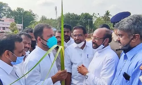 ഓശാന ഞായര്‍: കുരുത്തോല ഏറ്റുവാങ്ങി രാഹുല്‍ ഗാന്ധി