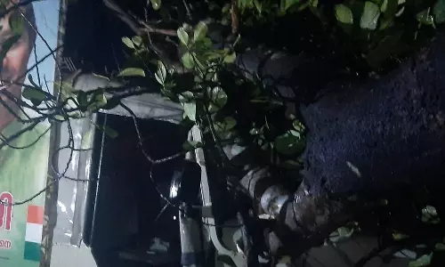 റോജി എം ജോണിന്‍റെ പര്യടന വാഹനത്തിന് മീതെ പോസ്റ്റും മരവും വീണു