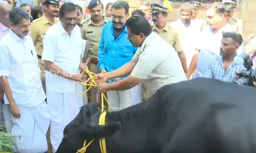 ഇടുക്കി ജില്ലാ ജയിലിലേക്ക് പി.ജെ ജോസഫ് പശുവിനെ സമ്മാനിച്ചതിന് പിന്നിലുള്ള കഥ | ഇടുക്കി ജില്ലാ ജയിലിലേക്ക് പി.ജെ ജോസഫ് പശുവിനെ സമ്മാനിച്ചതിന് പിന്നിലുള്ള കഥ |