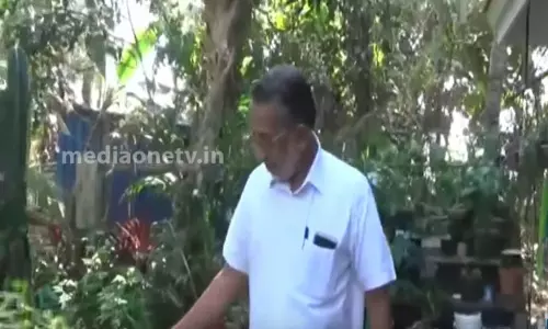 പ്രളയത്തിലും തളരാതെ ഖാദറിക്ക; നശിച്ച കൃഷി തോട്ടം വീണ്ടെടുത്തു  