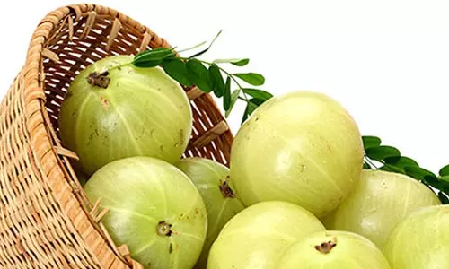 വയറു കുറയ്ക്കണോ; നെല്ലിക്കയാണ് മരുന്ന്..