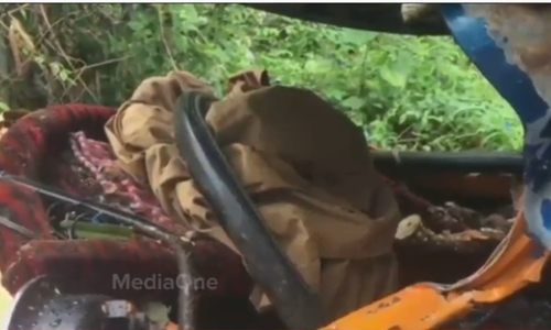 ഓടിക്കൊണ്ടിരുന്ന ഓട്ടോറിക്ഷയ്ക്കു മുകളിൽ മരം വീണ് ഡ്രൈവർ മരിച്ചു