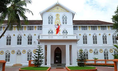 പ്രശ്‌നം വഷളാക്കാന്‍ ചിലര്‍ ശ്രമിക്കുന്നു; അതിന് സഭയെ മുഴുവനായി കൂടെ ചേര്‍ക്കേണ്ടെന്ന് അങ്കമാലി അതിരൂപത സംരക്ഷണ സമിതി