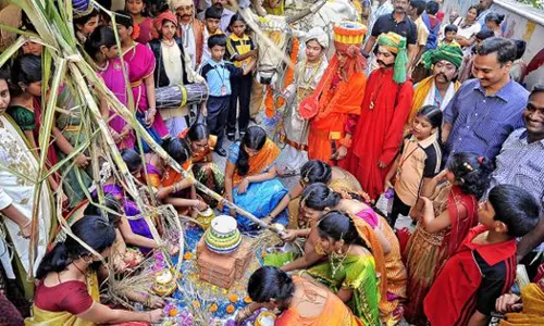 ഇന്ന് പൊങ്കല്‍; അതിർത്തി ഗ്രാമങ്ങള്‍ ഉല്‍സവലഹരിയില്‍