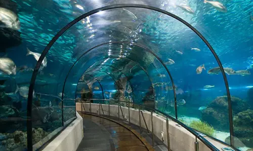 കടലിനടിയിലെ വർണ്ണ വിസ്മയ കാഴ്ചകളുമായി അണ്ടർ വാട്ടർ ടണൽ എക്സ്പോ