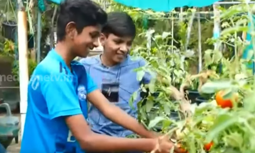 സ്കൂള്‍ വിട്ട് വീട്ടിലെത്തിയാല്‍ കൂട്ടുകാര്‍ക്കൊപ്പം കളിക്കാനൊന്നും സയീമിന് സമയമില്ല; മട്ടുപ്പാവിലൊരുക്കിയ കൃഷിയിടത്തില്‍ തിരക്കിലാണ് ഈ കുട്ടിക്കര്‍ഷകന്‍