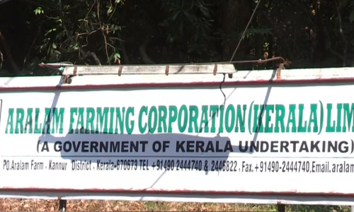 വന്യമൃഗശല്യം; ആറളം ഫാം നാശത്തിന്റെ വക്കില്‍