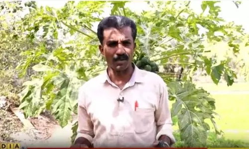 ബഹറൈന്‍റെ മണ്ണില്‍ വ്യത്യസ്തമായ കൃഷി രീതികളുമായി ഒരു പ്രവാസി മലയാളി