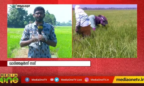 ചുട്ടുപൊള്ളി ആലപ്പുഴ, കര്‍ഷകര്‍ ആശങ്കയില്‍