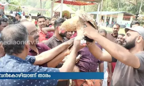 ഈ പൂവന്‍കോഴി വേറെ ലെവലാണ്; വില 13000 രൂപ