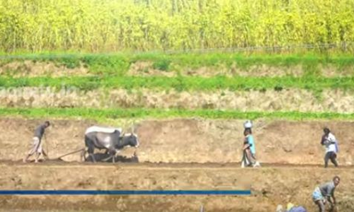 ഇടുക്കി ഒരു മിടുക്കിയാണെന്ന് ഈ ഫോട്ടോകള്‍ പറയും