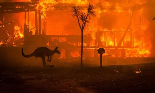 ആസ്‌ട്രേലിയ കത്തുന്നു; ഓരോ എയ്‌സിനും 250 ഡോളര്‍ നല്‍കുമെന്ന് ടെന്നീസിലെ ബാഡ്‌ബോയ്