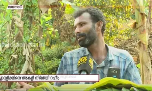 ഇലകള്ക്കായി വാഴകൃഷി; പ്ലാസ്റ്റിക് ജീവിതത്തില് നിരോധിച്ച് മാതൃകയാവുന്ന റഹീം |News theatre ഇലകള്ക്കായി വാഴകൃഷി; പ്ലാസ്റ്റിക് ജീവിതത്തില് നിരോധിച്ച് മാതൃകയാവുന്ന റഹീം |News theatre