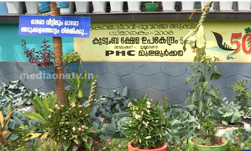 പച്ചക്കറിത്തോട്ടമല്ലിത്, പ്രാഥമിക ആരോഗ്യ കേന്ദ്രം