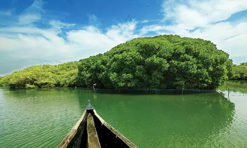 കടലുണ്ടിയുടെ സൗന്ദര്യം കാണണമെങ്കിൽ തോണിയിൽ തന്നെ കയറണം