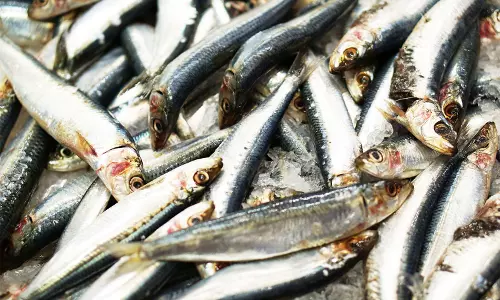 ഹൃദ്രോഗം തടയാന്‍ മുതല്‍ ബുദ്ധിവികാസത്തിന് വരെ മത്തി മതി