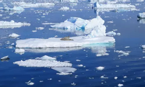 അന്റാര്‍ട്ടിക റെക്കോര്‍ഡ് ചൂടില്‍