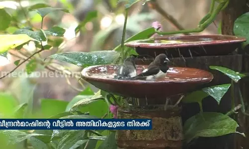 രവീന്ദ്രന്‍മാഷിന്റെ മുറ്റത്തെ വേനല്‍ക്കാല അതിഥികള്‍  
