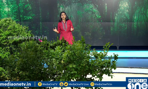 മാര്‍ച്ച് മൂന്ന്; ലോക വന്യജീവി ദിനം | News Theatre