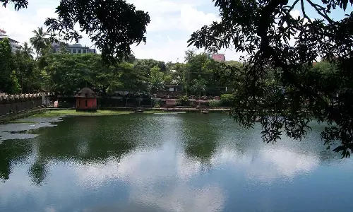 പൊള്ളുന്ന വേനലില്‍ ആശ്വാസം തേടി വടക്കേച്ചിറയില്‍ കുളിച്ചു തിമിര്‍ക്കുന്ന കിളിക്കൂട്ടങ്ങള്‍