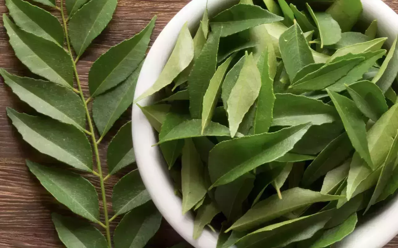 കളയാനുള്ളതല്ല കറിവേപ്പില