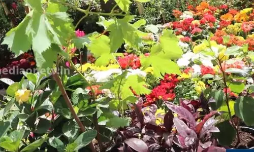 പാരമ്പര്യവും പുതുമയുമെല്ലാം ഉള്‍ചേര്‍ന്ന ഒരു നാടന്‍ കാര്‍ഷിക ചന്ത Bahrain Frames