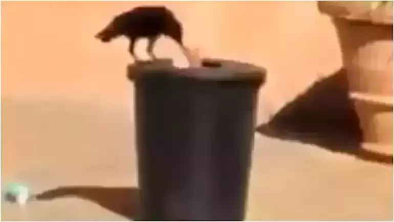 മാലിന്യങ്ങള്‍ വലിച്ചെറിയുന്നവരാണോ നിങ്ങള്‍? ഈ 38 സെക്കന്‍ഡ് വീഡിയോ ഒന്നു കണ്ടുനോക്കൂ