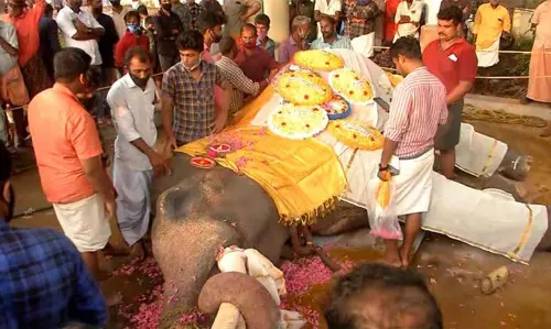 അമ്പലപ്പുഴ വിജയകൃഷ്ണന്‍‍ ചരിഞ്ഞ സംഭവം; പ്രതിഷേധം ശക്തം