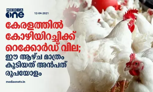 കേരളത്തിൽ കോഴിയിറച്ചിക്ക് റെക്കോർഡ് വില; ഈ ആഴ്ച മാത്രം കൂടിയത് അൻപത് രൂപയോളം
