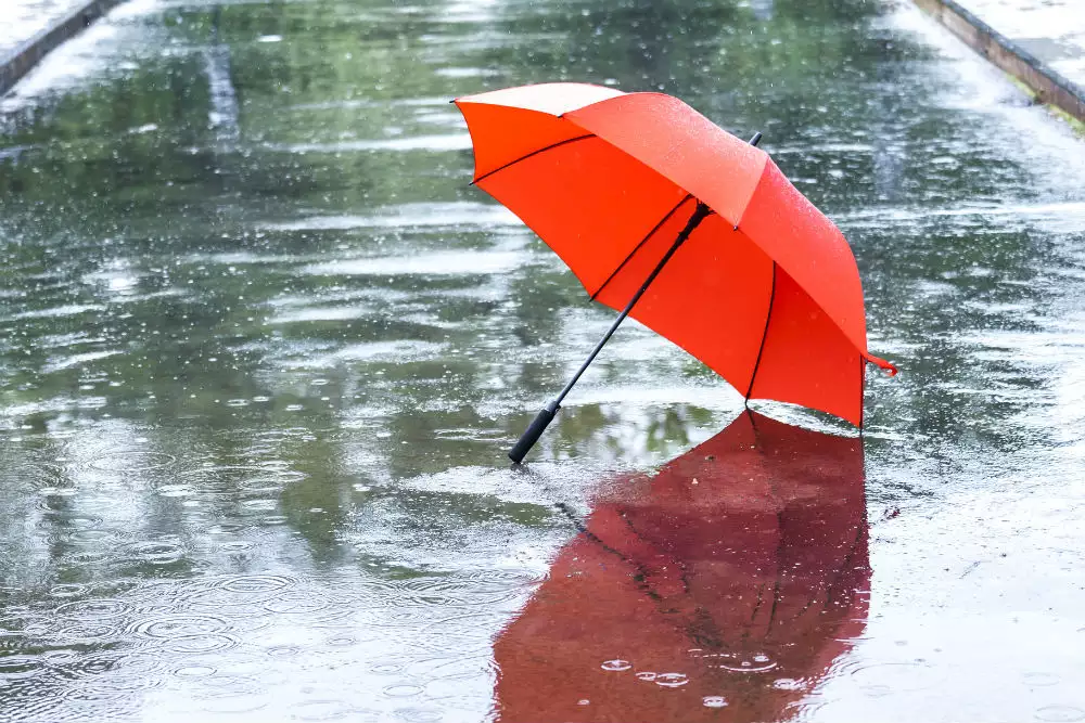 സംസ്ഥാനത്ത് ശക്തമായ മഴ തുടരും; 6 ജില്ലകളില് യെല്ലോ അലര്ട്ട് സംസ്ഥാനത്ത് ശക്തമായ മഴ തുടരും; 6 ജില്ലകളില് യെല്ലോ അലര്ട്ട്