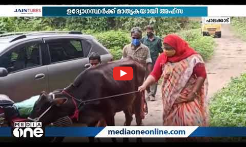 ഇത് അഫ്സ, സര്‍ക്കാര്‍ ജീവനക്കാര്‍ക്ക് അഭിമാനമാണ് ഈ ക്ഷീര വികസന ഓഫീസര്‍