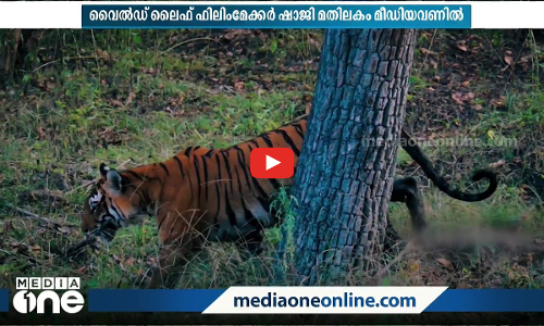 വര്‍ഷങ്ങളുടെ കാത്തിരിപ്പാണ് പുഴയോരത്തെ കടുവയുടെ ആ ക്ലിക്ക്