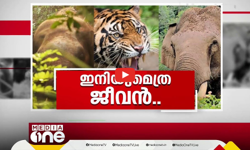 ഇനിയുമെത്ര ജീവൻ... | W​​ild Animal Attack | First Roundup | 1 PM News | 12 Feb 2025 |