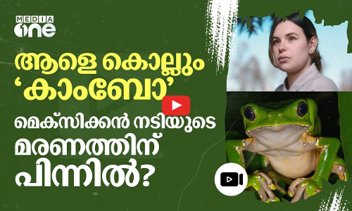 വിഷമിറക്കാൻ ആത്മീയ ചികിത്സ; തവളവിഷം കുടിച്ച മെക്സിക്കൻ നടിക്ക് ദാരുണാന്ത്യം