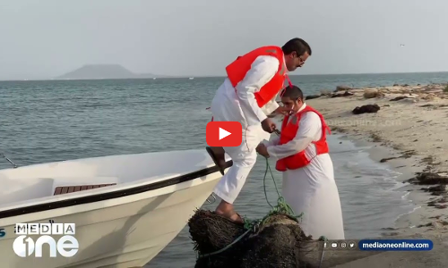 സൗദിയിലെ ആളില്ലാ ദ്വീപുകൾ | WEEKEND ARABIA