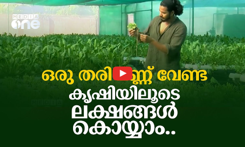 ഒരു തരി മണ്ണ് വേണ്ട, കൃഷിയിലൂടെ ലക്ഷങ്ങൾ കൊയ്യാം..ഇതാ ഹൈഡ്രോപോണിക്സ് കൃഷിരീതി