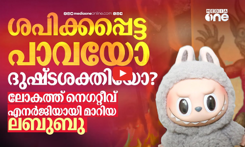 ട്രെൻഡ് കഴിഞ്ഞു, ലബുബു കത്തിച്ച് സെലിബ്രിറ്റികൾ; നെഗറ്റീവ് എനർജിയോ? | Labubu Doll