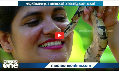 പാമ്പു പിടിത്തക്കാരിയല്ല, പാമ്പുകളുടെ കൂട്ടുകാരിയാണ് സുഭിക്ഷ