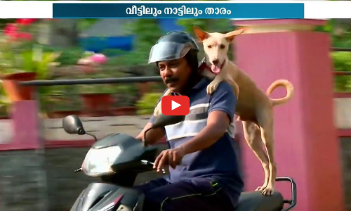 പൊലീസുകാരന്‍ പരിശീലിപ്പിച്ച നായ; വീട്ടിലും നാട്ടിലും താരമാണ് അപ്പു