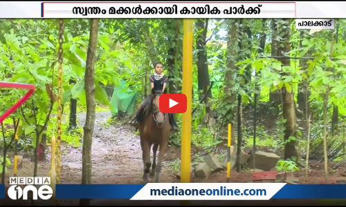 ഓപ്പൺ ജിംനേഷ്യവും കുതിര സവാരിയും; സ്വന്തം മക്കൾക്കായി ഒരു കായിക പാർക്ക് തന്നെ ഒരുക്കി പാലക്കാട് സ്വദേശി
