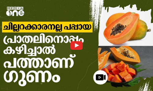 വെറും വയറ്റിൽ പപ്പായ കഴിച്ചാൽ ഗുണമുണ്ട് | Papaya | #nmp