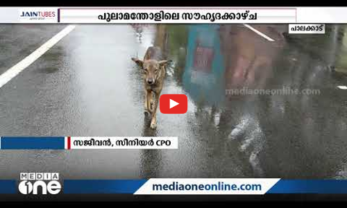 പൊലീസ് ഡ്യൂട്ടി യിലുള്ള ഈ നായ പൊലീസ് നായയല്ല..
