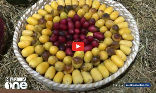 മധുരമൂറും കാഴ്ച; ഈത്തപ്പഴത്തിന്റെ രുചിമേളയിൽ തിളങ്ങി ദോഹ നഗരം