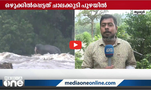 കുത്തിയൊലിക്കുന്ന മലവെള്ളം, അഞ്ചര മണിക്കൂര്‍; രക്ഷപ്പെടാനുള്ള കാട്ടാനയുടെ പൊരിഞ്ഞ പോരാട്ടത്തിന്‍റെ ദൃശ്യങ്ങള്‍