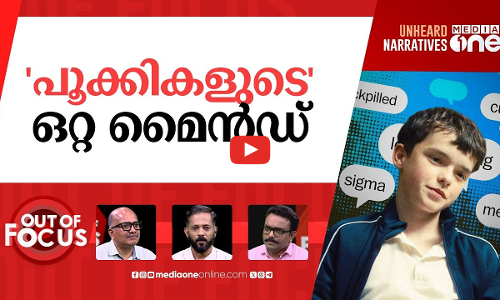 ജെൻ-സിയെ അടുത്തറിയുമോ? | Adolescence has sparked fears over teen slang | Out Of Focus