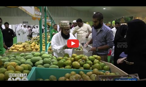 അൽഫോൻസ, മല്ലിക, മൽഗോവ... ഖത്തറിൽ മാമ്പഴക്കാലം | Weekend Arabia