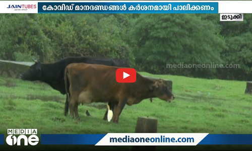 സഞ്ചാരികളെ വരവേറ്റ് മിടുക്കിയായി ഇടുക്കി