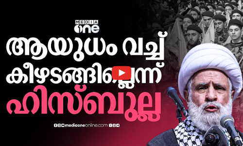ലബനാനിൽ ഹിസ്ബുല്ല വീണ്ടും കരുത്താർജിക്കുന്നോ? മുന്നറിയിപ്പുമായി ഷെയ്ഖ് നഈം | Hezbollah | Lebanon