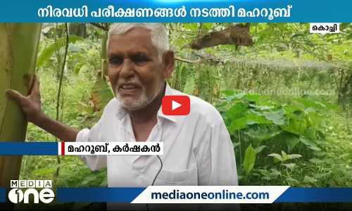 ജൈവ പച്ചക്കറി കൃഷിയിൽ നിരവധി പരീക്ഷണങ്ങൾ; കാർഷിക മേഖലയിൽ അരനൂറ്റാണ്ട് പിന്നിട്ട് മഹറൂബ്
