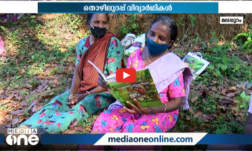പ്രായമൊക്കെ വെറും നമ്പറല്ലേ; 66കാരി നാരായണി മുതല്‍ 71കാരൻ ഹംസ വരെ ഇവിടെ പഠനത്തിന്‍റെ തിരക്കില്‍